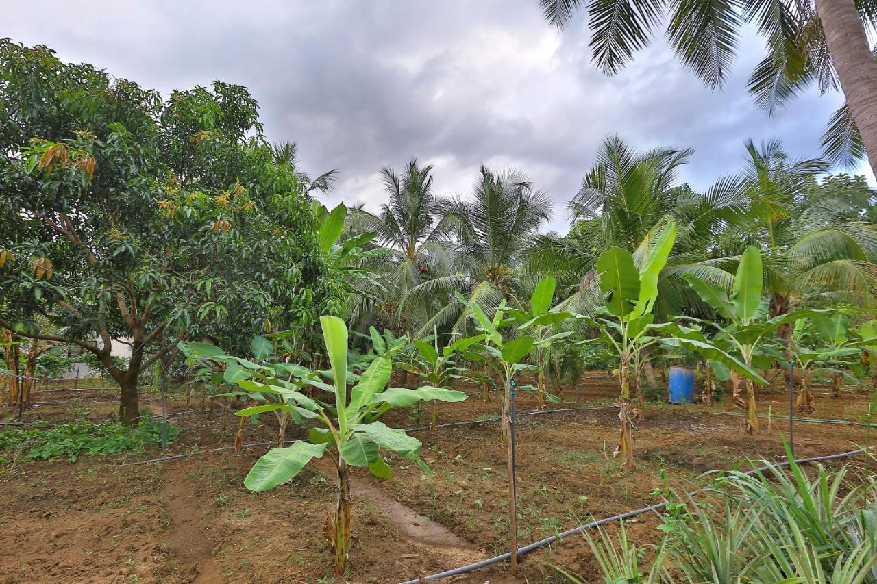 Sayon River Cottage & Eco Garden Monaragala Экстерьер фото